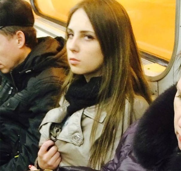 Woman Smuggles Her Kitten Onto The Moscow Subway