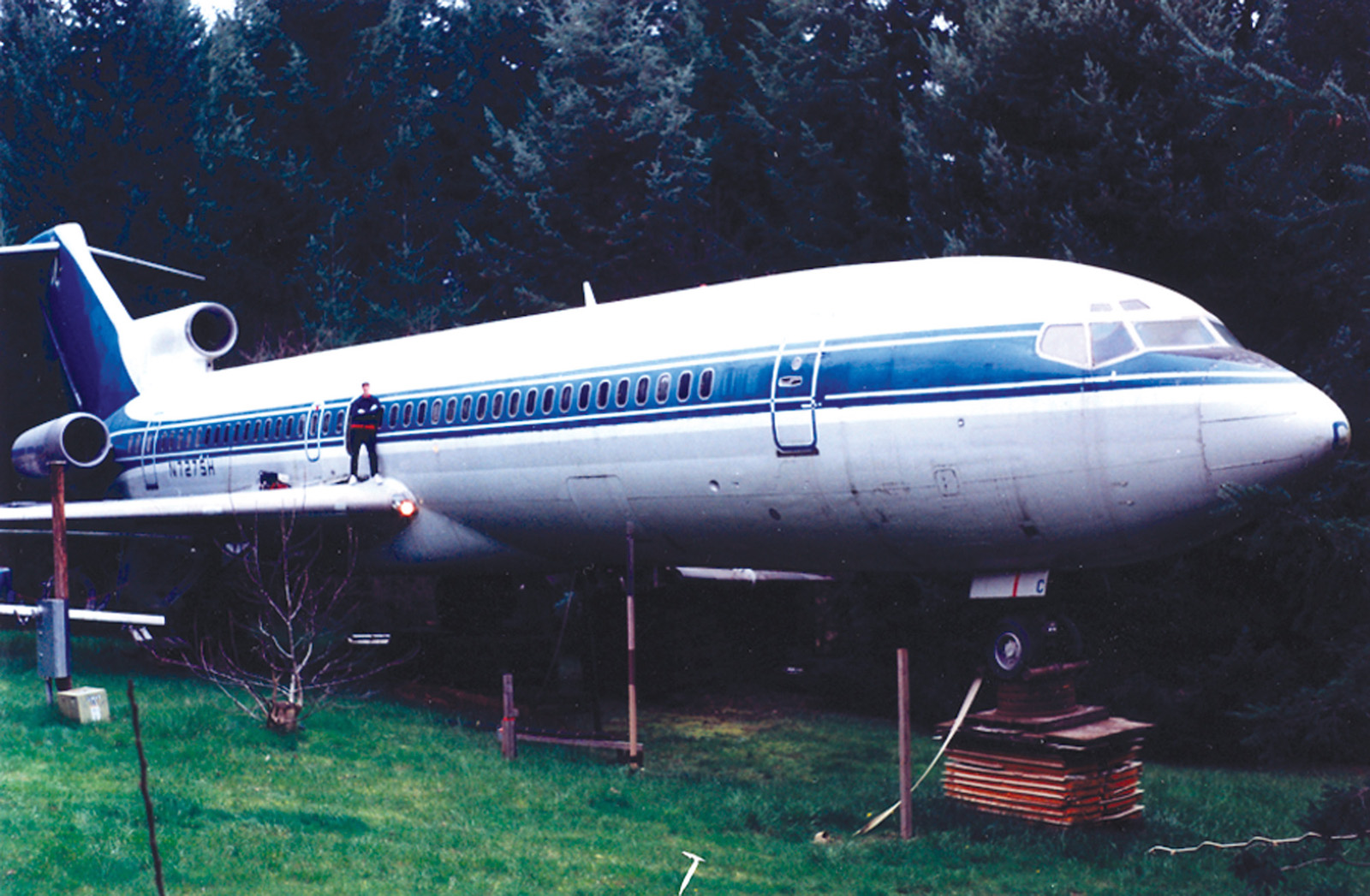 Standing On The Wing