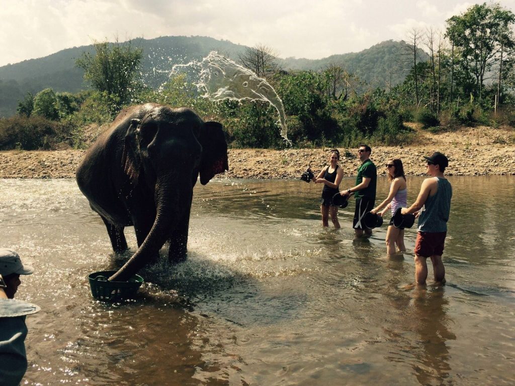 The Water Looks Like An Elephant