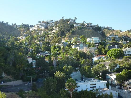 Hollywood Hills Homes