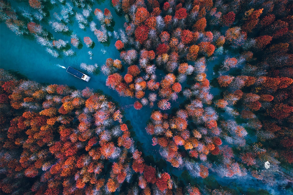 Autumn Trees With A Truck