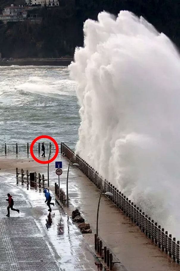 Life Is A Wave