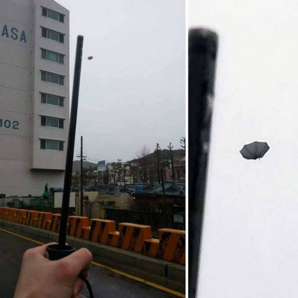 U.F.O. Umbrella Flew Off The Stick