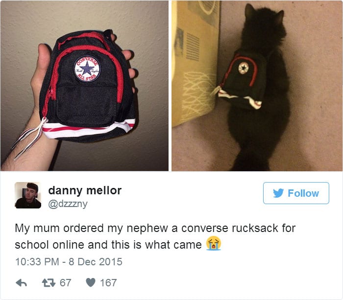 Backpack For Kitty
