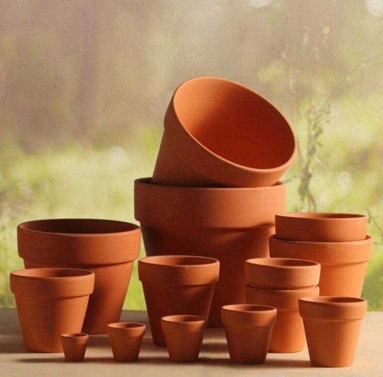 Buy Clay Flower Pots