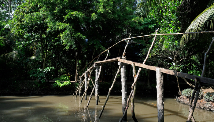 Monkey Bridges - Vietnam