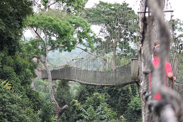 Canopy Walk - Ghana