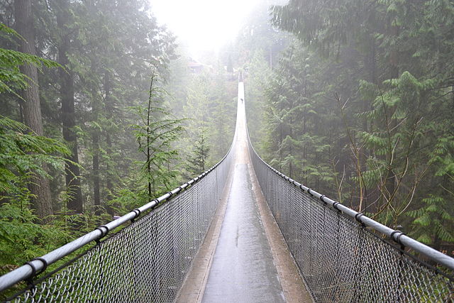 Capilano Suspension Bridge - Canada