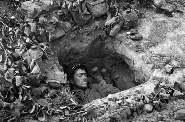 Foxhole Snoozing