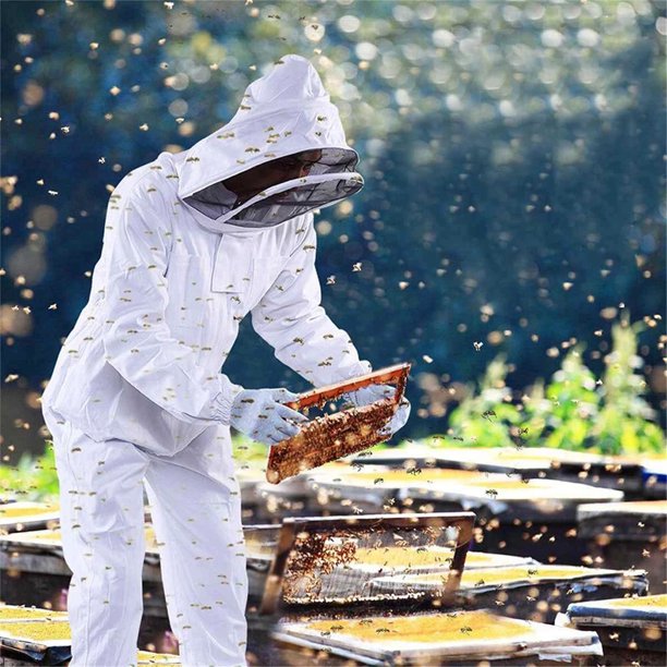 Beekeeper's Outfit